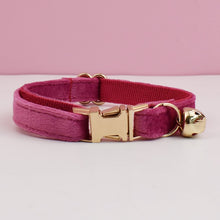 Velvet Charms: Personalized Collars and Bowties