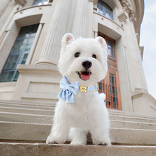 Girly Bow Dog Collars – Stylish, Personalized Pet Collars | CurliTail