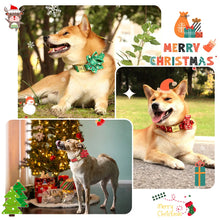 Furry and Festive: Personalized Christmas Print Flower ID Collars