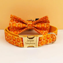 Personalized Halloween Adjustable Dog Collar Leash Set with ID Tag Engraving