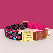 Personalized Floral Pet Collars – Premium Collection by CurliTail