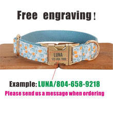Personalized Dog Collar with Free Engraving, Blue Lilac Pet Collar