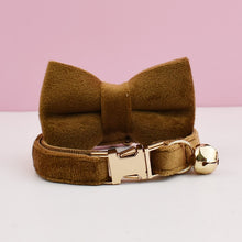 Velvet Charms: Personalized Collars and Bowties