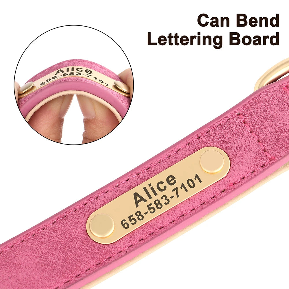 Personalized Leather Dog Collars – Strong, Stylish & Safe | CurliTail