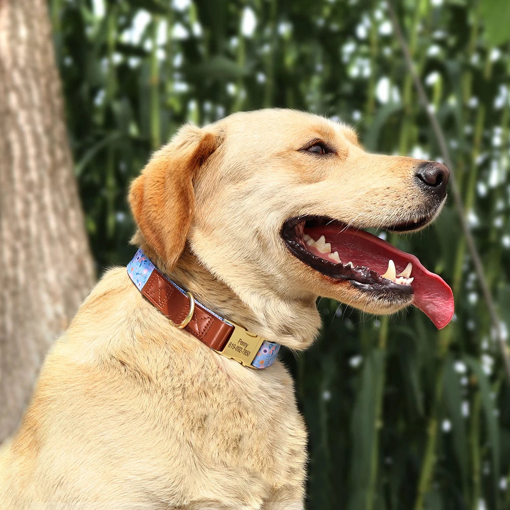 Personalized Floral Pet Collars – Premium Collection by CurliTail