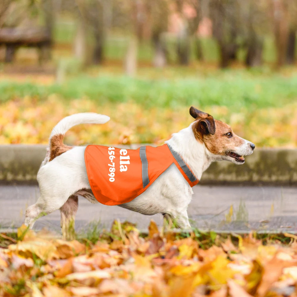 Custom Reflective Dog Vest – Personalized Safety Dog Clothes for Night Walking and Outdoor Adventures - CurliTail