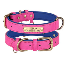 Personalized Leather Dog Collars – Strong, Stylish & Safe | CurliTail