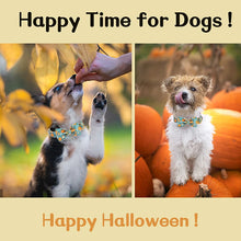 Personalized Halloween Pumpkin Dog Collar with Flower / Bowtie | Customized Dog Id Collars