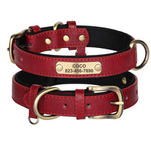 Personalized Leather Dog Collars – Strong, Stylish & Safe | CurliTail
