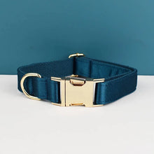 Blue Butterfly Ballet: Personalized Collar, Harness and Leash Set