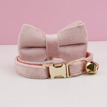 Velvet Charms: Personalized Collars and Bowties