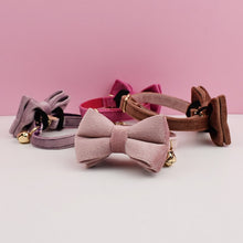 Velvet Charms: Personalized Collars and Bowties