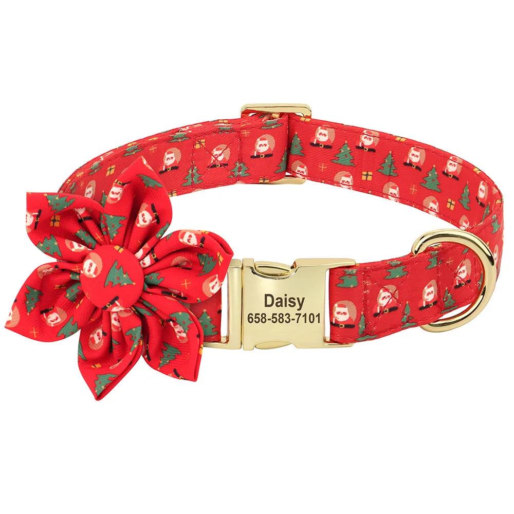 47492880728343|47492880761111|47492880793879