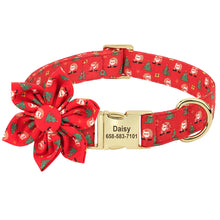 47492880728343|47492880761111|47492880793879