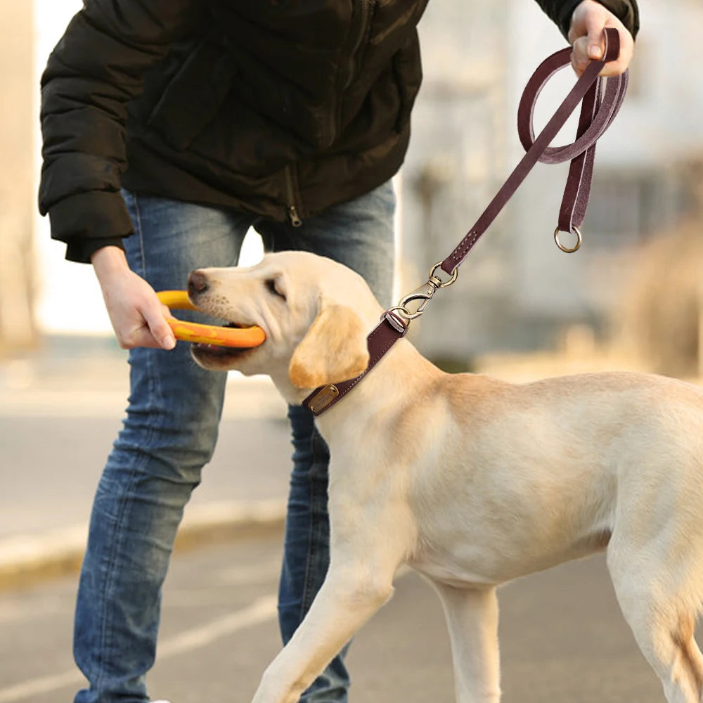 Custom Personalized Leather Dog Collar & Optional Leash with Nameplate For Small Medium Large Dogs