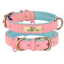 Personalized Leather Dog Collars – Strong, Stylish & Safe | CurliTail