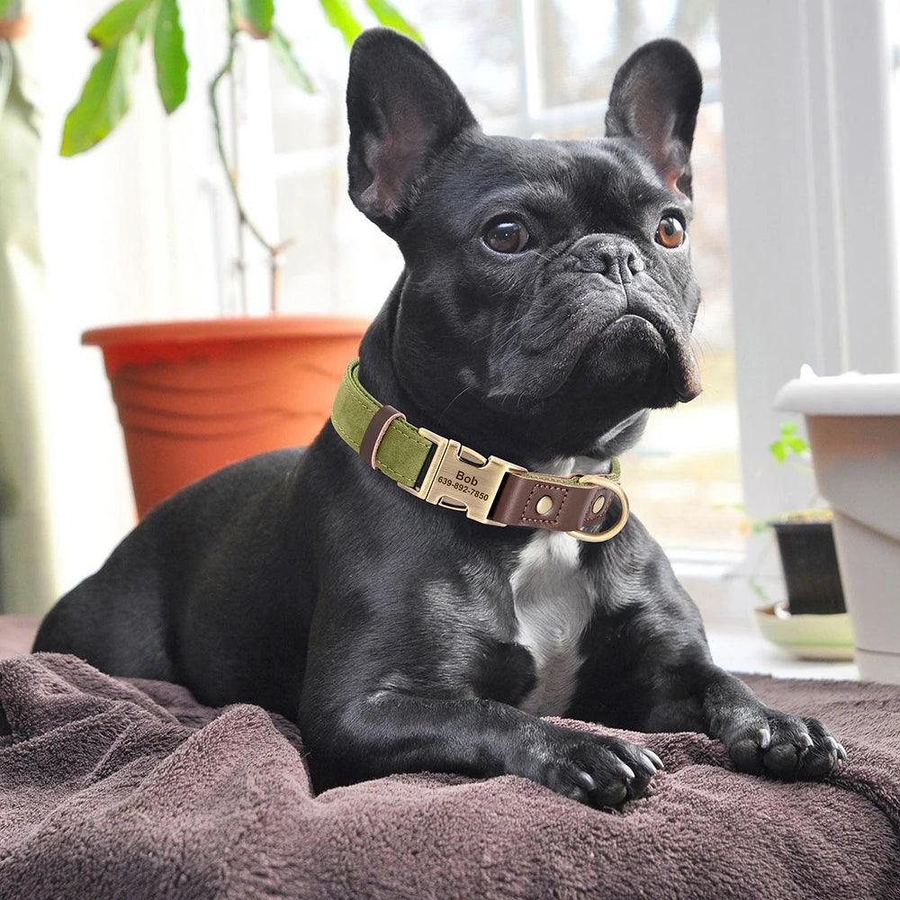 Personalized PU Leather Dog Collars | Custom Dog ID Collar with Name
