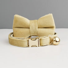 Velvetty Trends: Personalized Collars and Bowties