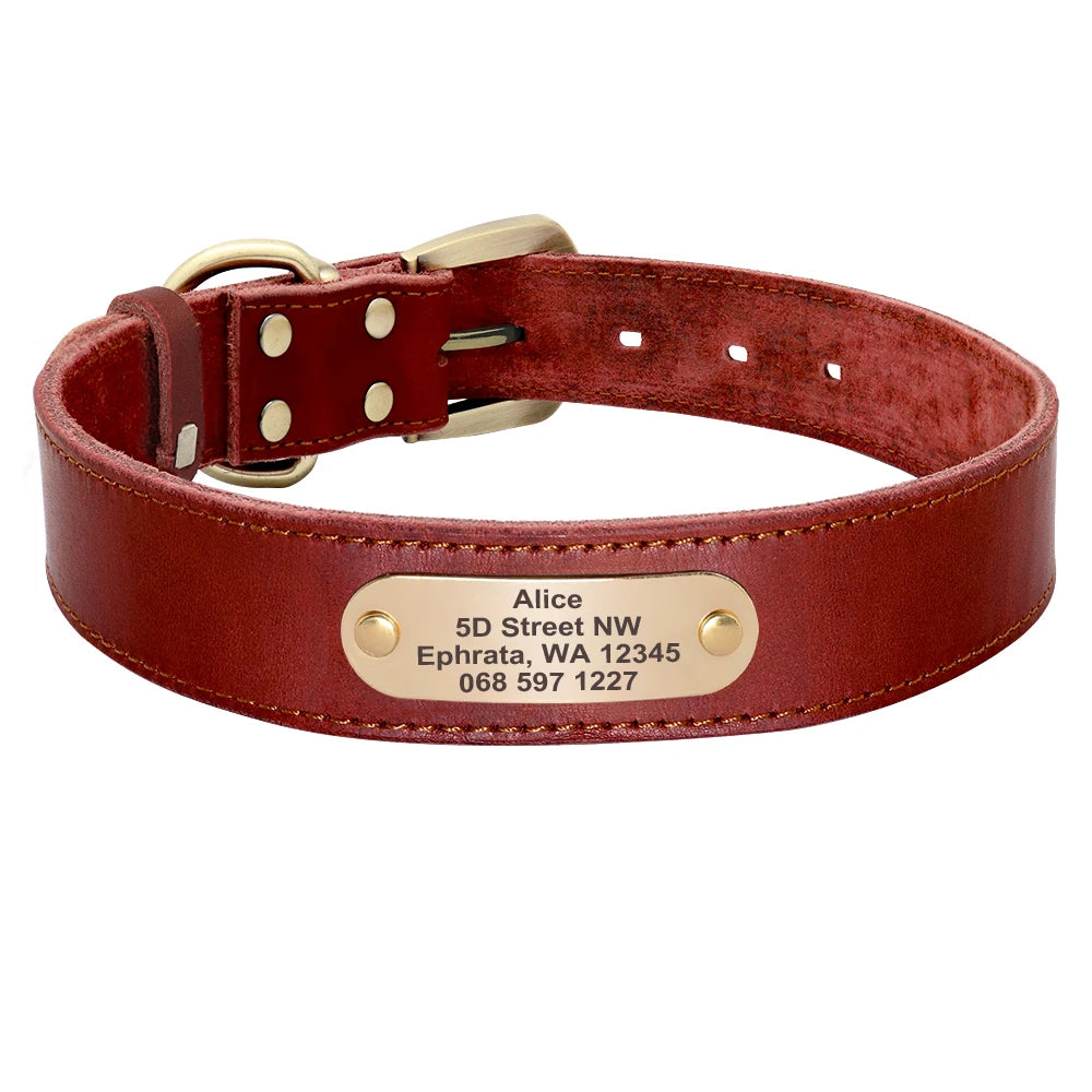 Custom Personalized Leather Dog Collar & Optional Leash with Nameplate For Small Medium Large Dogs