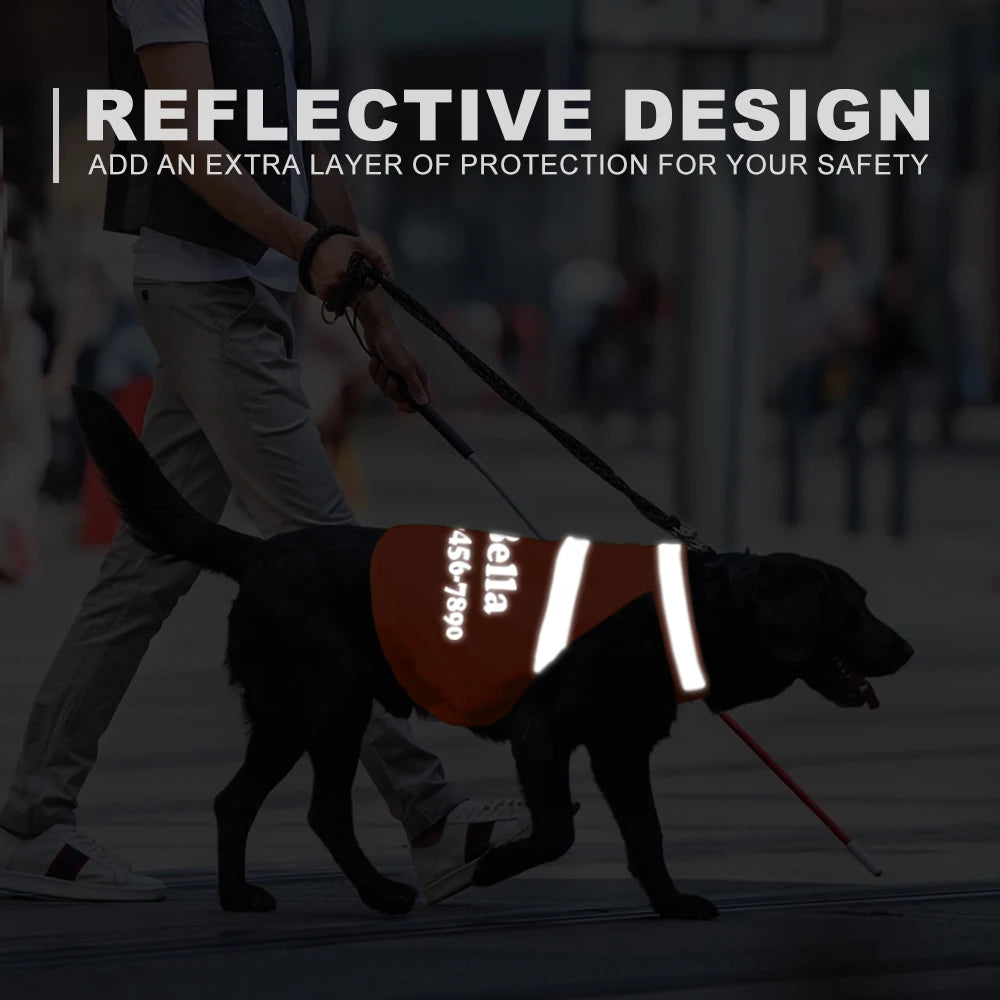 Custom Reflective Dog Vest – Personalized Safety Dog Clothes for Night Walking and Outdoor Adventures - CurliTail
