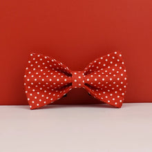 Red Fluttering Elegance: Personalized Dog Collar, Harness and Leash Set