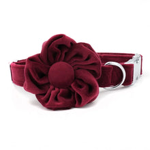 47562739908887|47562739941655|47562739974423|47562740007191