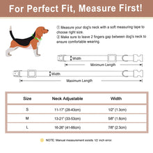 Fashionable Personalized Dog Collar with Bowtie | Custom Pet Name ID Dog Collars