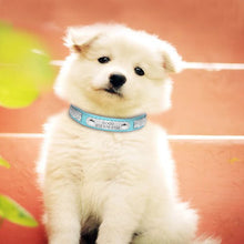 Personalized Cat Collar Bling Rhinestone | Custom Nameplate ID Collar for Small Dogs & Kittens