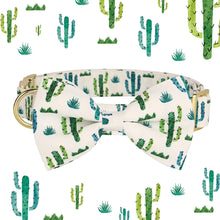 47492873519383|47492873552151|47492873584919