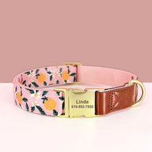 Personalized Floral Pet Collars – Premium Collection by CurliTail