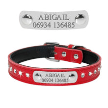 Personalized Cat Collar Bling Rhinestone | Custom Nameplate ID Collar for Small Dogs & Kittens