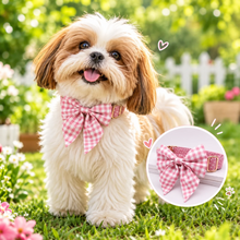 Pink Polka Dots Girly Butterfly Collar: Personalized Dog ID Collar - CurliTail