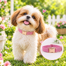 Pink Polka Dots Girly Butterfly Collar: Personalized Dog ID Collar - CurliTail