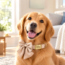 Barky Brown Butterfly Collar With Flower Set- Personalized
