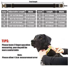 Personalized Polka Dots Pet Collar And Leash - CurliTail