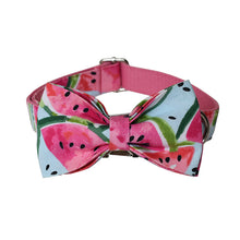 Theme Based Dog Collars, Watermelon Collars Flower Collars for dogs