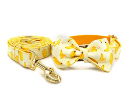 FREE ENGRAVING ON DOG COLLARS, DOG ID COLLARS, DOG COLLAR LEASH SET