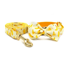 Floral Dog Collars Dog ID Collars Leash Set Personalized Dog Collars  Wedding dog collars Curlitail