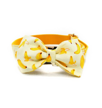 FREE ENGRAVING ON DOG COLLARS, DOG ID COLLARS, DOG COLLAR LEASH SET