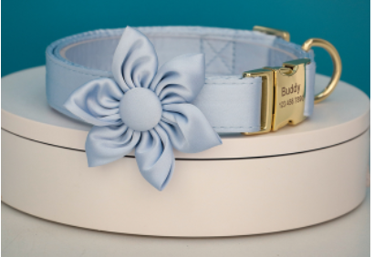 Blue Bay Butterfly Collar With Flower- Personalized