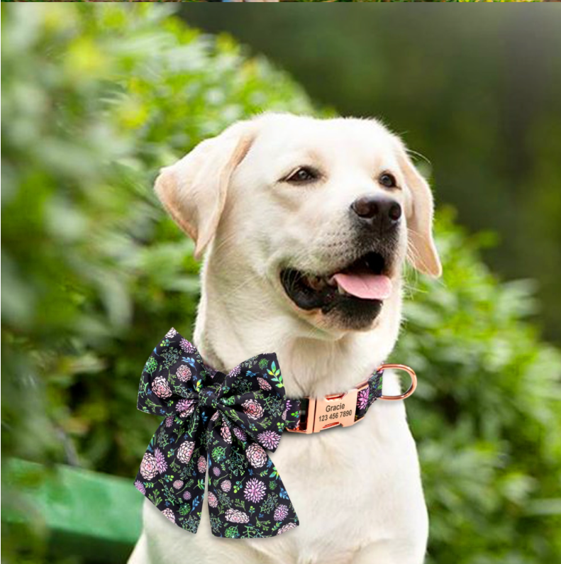 Floral Butterfly Collars for Wedding | Personalized Dog ID Collar