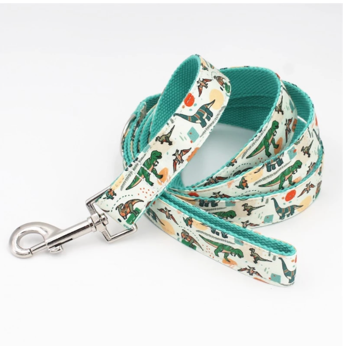 Dinosaur Dog Collar And Leash Set |Personalized