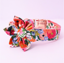 Personalized Dog ID Collars Wedding dog collars 2021 designer dog collars floral dog collars bow dog collars CurliTail