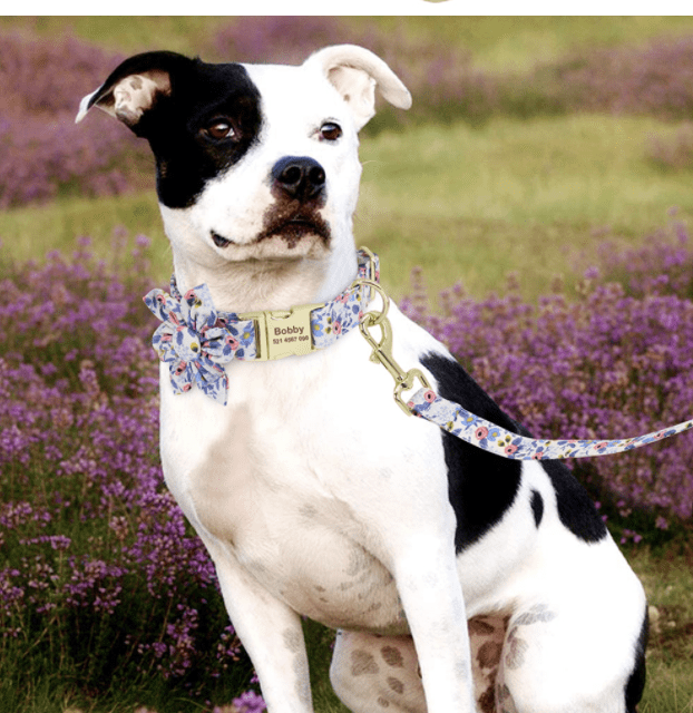 Floral Dog Collars Dog ID Collars Leash Set Personalized Dog Collars  Wedding dog collars Curlitail