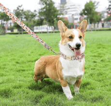 Floral Dog Collars Dog ID Collars Leash Set Personalized Dog Collars  Wedding dog collars Curlitail