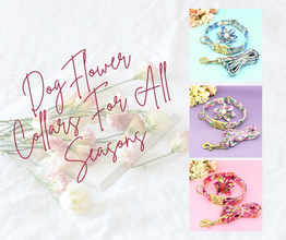 Personalized Dog ID Collars Wedding dog collars 2021 designer dog collars floral dog collars bow dog collars CurliTail