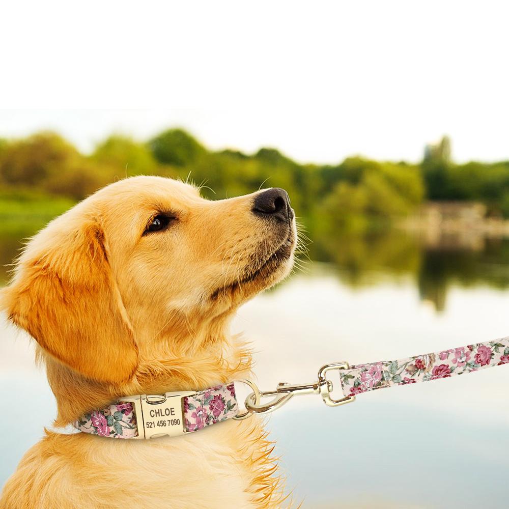 Floral Dog Collars and Leashes | Personalized Dog ID Collars