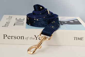 Night Stars: Personalized Bowtie collar and Leash - CurliTail