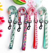 Patterns And Shades: Bow Collar, Leash And Poop Bag Pack - CurliTail