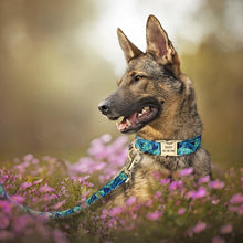 Floral Dog Collars and Leashes | Personalized Dog ID Collars